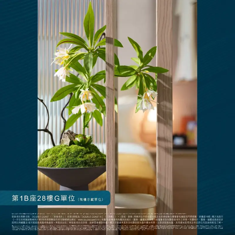相片9